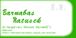 barnabas matusek business card